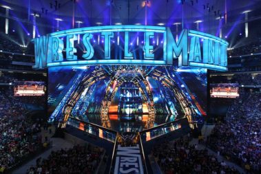 Steel-Details-Wrestlemania-Crab-steel-fabrication-engineers-architects